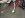 IMG_0204-20100513.JPG