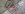 100MEDIA_IMAG0222.jpg