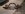 100MEDIA_IMAG0223.jpg