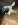 ImageUploadedByTapatalk 21369445069.327635.jpg