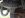 IMG_6586.jpeg