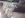 IMG_8039.jpeg