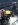 ipod pics 223.JPG