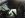 Grab Handles - Drivers Side.jpg