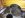 DSCN0771.JPG