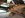 Side view, pinion close.JPG