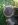 t case brake.jpg