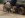 mud1.jpg