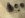 1014308_10151762645184179_1069460742_n.jpg