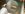 uploadfromtaptalk1375649252444.jpg