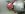 uploadfromtaptalk1376015496699.jpg