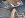 DSCN0805.JPG