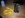 DSCN0550.JPG