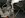 Suburban 3 27 06 ball joints, fr axle, weird wd rr axle 002.jpg