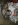 DSCN0679.JPG