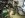 latest pics n truck 102.JPG