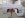 1020130113a.jpg