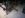 DSCN0838.JPG