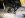 DSCN0845.JPG