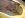 DSCN0869.JPG