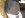 DSCN0874.JPG