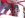 DSCN6338.JPG