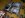 DSCN6447.JPG