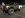 GMC42s.JPG