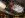 DSC01406_Medium.JPG