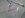 1206131403a.jpg