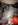 ImageUploadedByTapatalk1387691704.045775.jpg