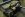 chevy-np205-transfer-case-1-ton-400-ludlow-ma_11134474.jpg