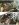 uploadfromtaptalk1389920397621.jpg