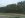 7-trees.JPG