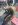 ImageUploadedByTapatalk1392515166.217924.jpg