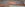 dadnoscklhbedside.jpg dadnoscklhbedside.jpg