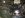 ImageUploadedByTapatalk1393823541.017240.jpg