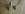 uploadfromtaptalk1396068824546.jpg