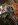 109-Steam Hoist.JPG