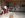 IMG_3381.jpg IMG_3381.jpg