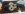 CAM00006_resized.jpg