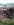CAM00020_resized.jpg