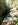 159-Manganese Falls.JPG