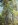 167-Woods.JPG