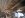 IMG_20140510_160359_937.jpg