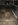 ImageUploadedByTapatalk1399959179.085982.jpg