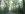 168-Covered Road.JPG