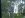178-Fence.JPG