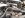 185-Cummins.JPG