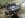 IMG_1027-Optimized.JPG